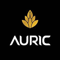 Auric discount coupon codes