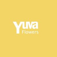 YuvaFlowers discount coupon codes